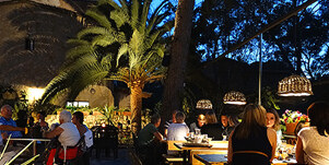 The garden at blue hour, a tall palm above the lit dinner tables