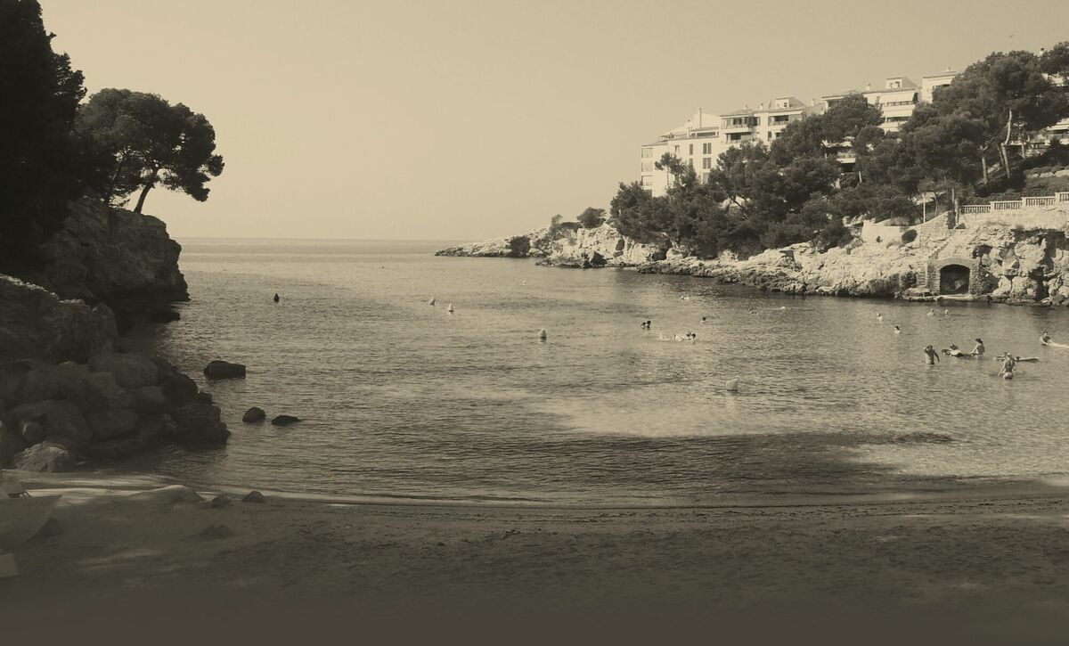 The turquoise cove at Portals Nous — pine cliffs, swimmers and a sandy beach below the village